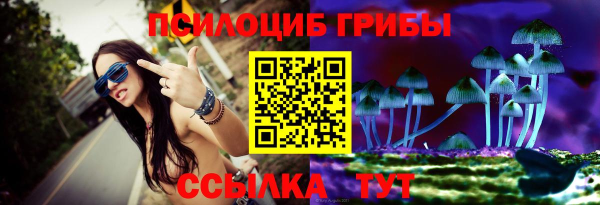 Псилоцибиновые грибы мицелий  Псилоцибиновые грибы MAGIC MUSHROOMS  где купить   Вход с VPN  Пугачёв 
